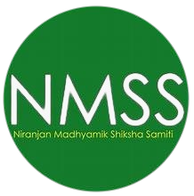 NMSS logo